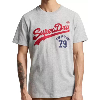 Vêtements Homme T-shirts manches courtes Superdry Vintage logo interest Gris