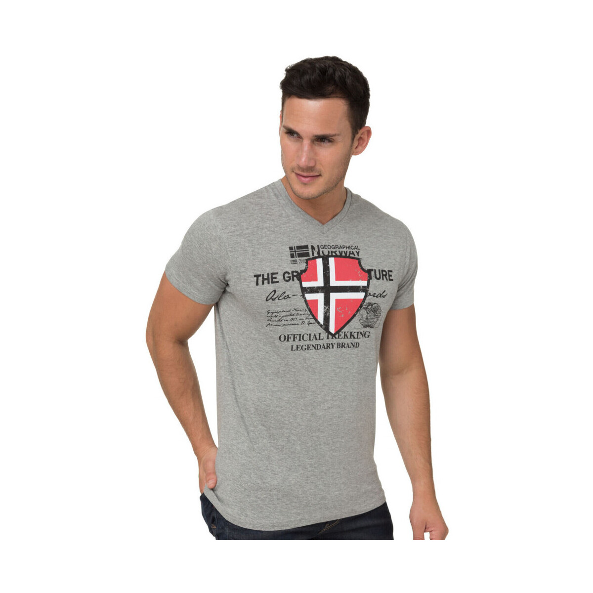 Vêtements Homme T-shirts manches courtes Geographical Norway T-Shirt casual en coton Gris