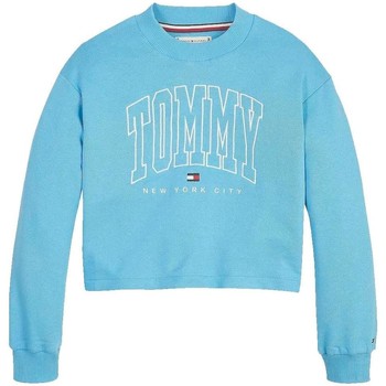 Vêtements Fille Sweats Tommy capuche Hilfiger  Bleu