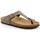 Chaussures Femme Tongs Grunland DSG-CC0010 Marron