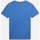 Vêtements Homme T-shirts & Polos Napapijri SELBAS NP0A4GBQ-BC5 SKYDIVER Bleu