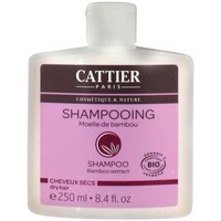 Beauté Shampooings Cattier Shampooing Cheveux Secs Moelle de Bambou 250ml Autres