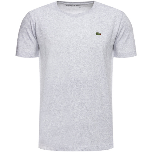 Vêtements Homme T-shirts manches courtes Lacoste rond TH7618-CCA Gris