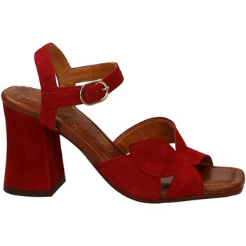 Chaussures Femme Sandales et Nu-pieds Chie Mihara PEWA-P Rouge