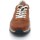 Chaussures Homme Derbies & Richelieu Pikolinos  Multicolore