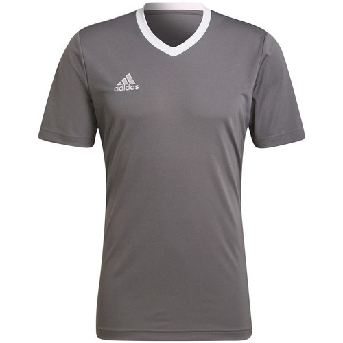 Vêtements Homme T-shirts manches courtes voetbal adidas Originals Entrada 22 Gris