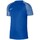 Vêtements Homme T-shirts manches courtes Nike Drifit Academy Bleu