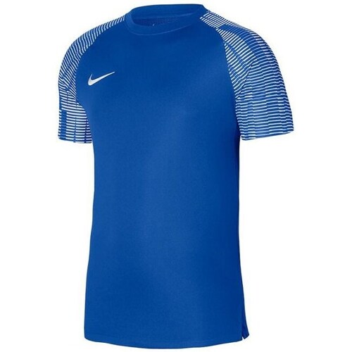 Vêtements Homme T-shirts Grey manches courtes Nike Drifit Academy Bleu