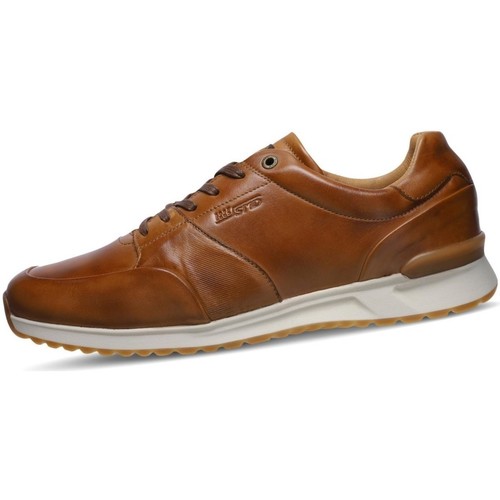Chaussures Homme Loints Of Holla Salamander  Marron