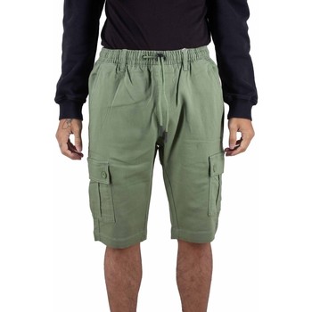 Vêtements Homme Shorts / Bermudas Billtornade Teka Kaki