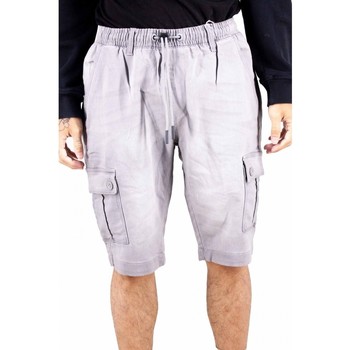 Vêtements Homme Shorts / Bermudas Billtornade Teka Gris