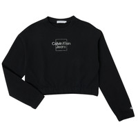 Vêtements Fille Sweats Calvin Klein Jeans METALLIC BOX LOGO SWEATSHIRT Noir