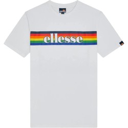 Vêtements Homme T-shirts manches courtes Ellesse Dreilo Blanc