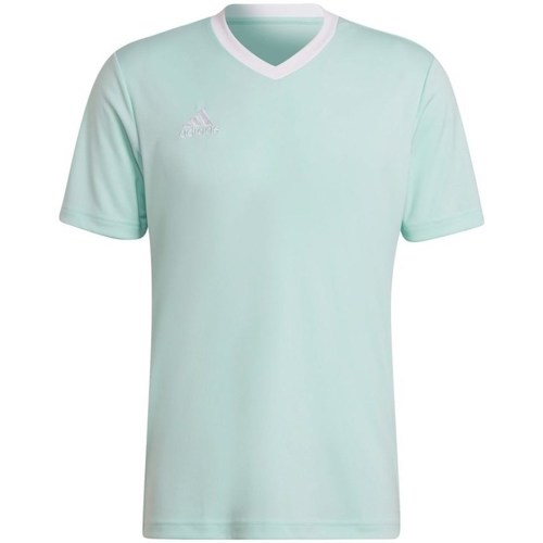 Vêtements Homme T-shirts manches courtes brazil adidas Originals Entrada 22 Turquoise