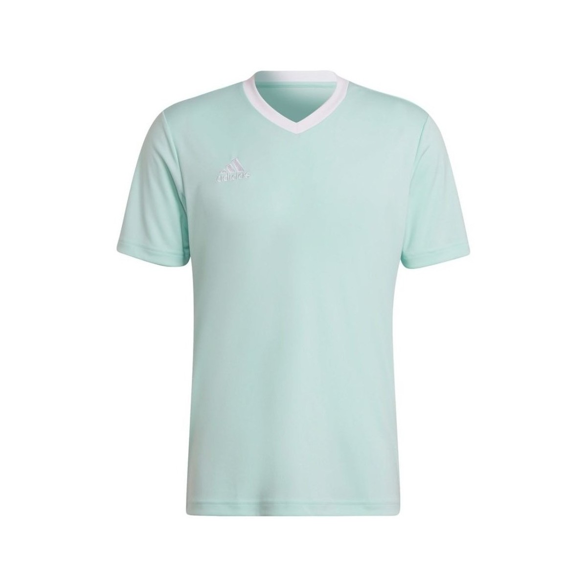 Vêtements Homme T-shirts manches courtes adidas Originals Entrada 22 Turquoise