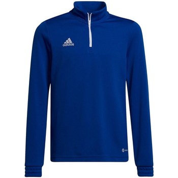 Vêtements Garçon Sweats adidas Originals adidas kaiser 5 white goal card for students Bleu