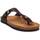 Chaussures Homme Sandales et Nu-pieds Purapiel 73196 Marron