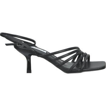 Chaussures Femme Nouveautés de ce mois Steve Madden Aglow SM11001952 Sandales Noir