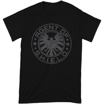 Vêtements T-shirts manches courtes Marvel  Noir / Gris