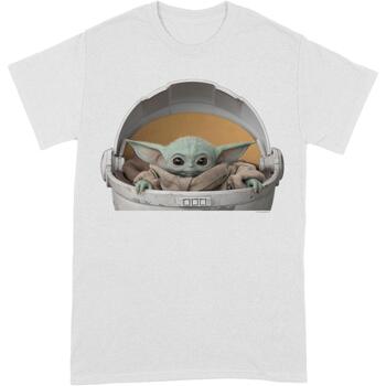 Vêtements Homme T-shirts manches longues Star Wars: The Mandalorian BI246 Blanc