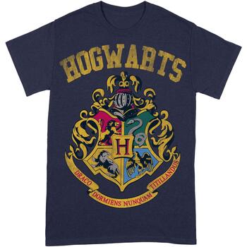 Vêtements Homme boys print hoodie kids teens Harry Potter  Bleu