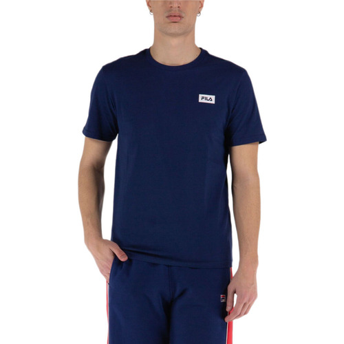 Vêtements Homme T-shirts Graues manches courtes Fila  Bleu