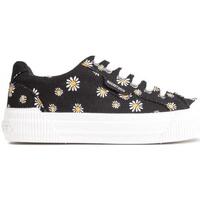 Chaussures Femme Baskets basses Rocket Dog Cheery Trainers Noir
