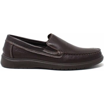 Chaussures Homme Slip ons Enval 1705011 Marron