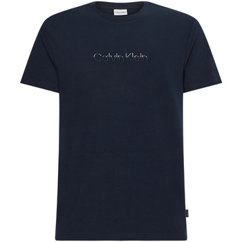 Vêtements Homme T-shirts & Polos Calvin Klein Jeans K10K108834 Bleu