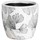 Maison & Déco Vases / caches pots d'intérieur Ixia Set de 2 Cache-pots Ginkgo Biloba en céramique blanche vieillie Blanc