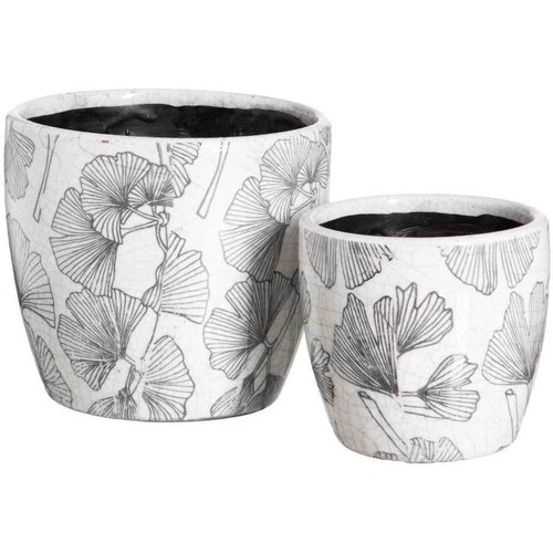 Boîte à Clefs Vitrée Motif Vases / caches pots d'intérieur Ixia Set de 2 Cache-pots Ginkgo Biloba en céramique blanche vieillie Blanc