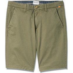 Vêtements Homme Shorts / Bermudas Timberland TB0A2DFMA581 CHINO SHORT-A581 - GRAPE LEAF Vert
