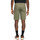 Vêtements Homme Shorts / Bermudas Timberland redmultiwhiteunisex TB0A2DFMA581 CHINO SHORT-A581 - GRAPE LEAF Vert