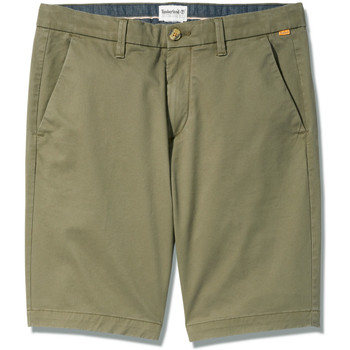 Vêtements Homme wip Shorts / Bermudas Timberland TB0A2DFMA581 CHINO SHORT-A581 - GRAPE LEAF Vert