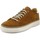 Chaussures Homme Fitness / Training Exton Homme Chaussures, Sneaker, Daim-757 Marron
