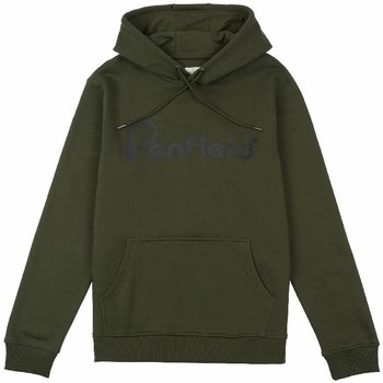 Vêtements Homme Sweats Penfield Sweatshirt à capuche  Bear Chest Print Vert