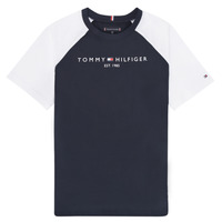 Vêtements Garçon T-shirts manches courtes Tommy Hilfiger  Multicolore