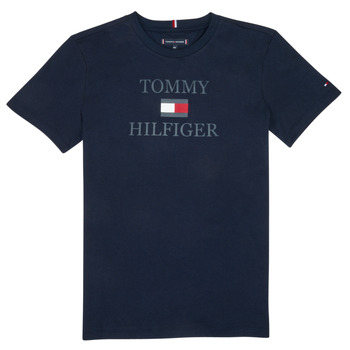 Vêtements Garçon T-shirts manches courtes Tommy Hilfiger KB0KB07794-SKY Marine