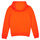 Vêtements Enfant Sweats Tommy Hilfiger KS0KS00205-SCZ Orange