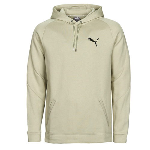 Vêtements Homme Sweats Puma softride DAY IN MOTION HOODIE DK Gris