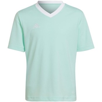 Vêtements Garçon T-shirts manches courtes adidas Originals Entrada 22 Turquoise