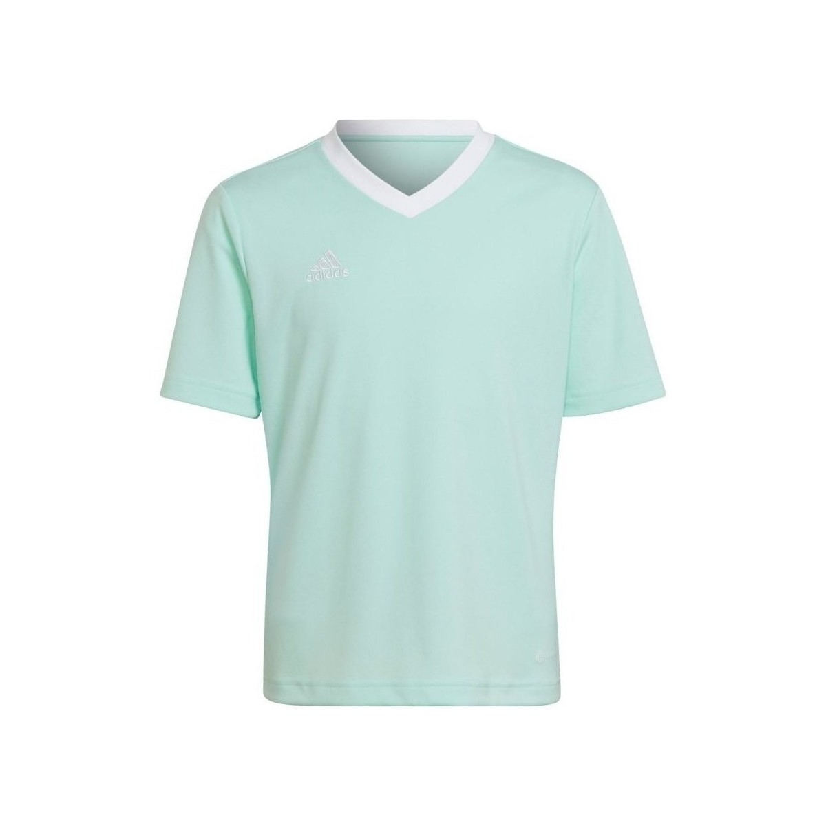 Vêtements Garçon T-shirts manches courtes adidas Originals Entrada 22 Turquoise