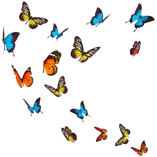 Maison & Déco Stickers Sud Trading Autocollant Mural Papillons Multicolore