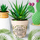 Polo Ralph Lauren Vases / caches pots d'intérieur Sud Trading Cache pot en bambou la petite plante Beige