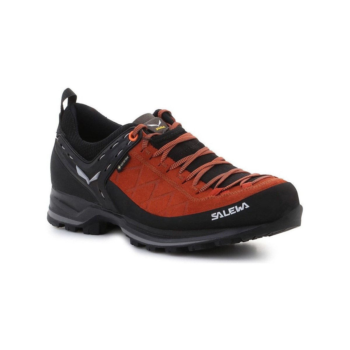 Chaussures Homme Randonnée Salewa MS Mtn Trainer 2 Gtx Marron, Noir