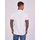 Vêtements Homme T-shirts & Polos Lauren Ralph Lauren Polo Pony-print cotton T-shirt Bianco Tee Shirt 2210303 Blanc