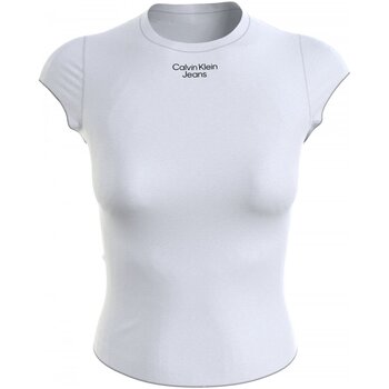 Vêtements Homme T-shirts manches courtes Calvin Klein Jeans J20J218707 Blanc