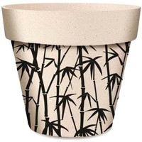 Maison & Déco Vases / caches pots d'intérieur Cadoons Cache pot bambouseraie en bambou 15.5 cm Beige