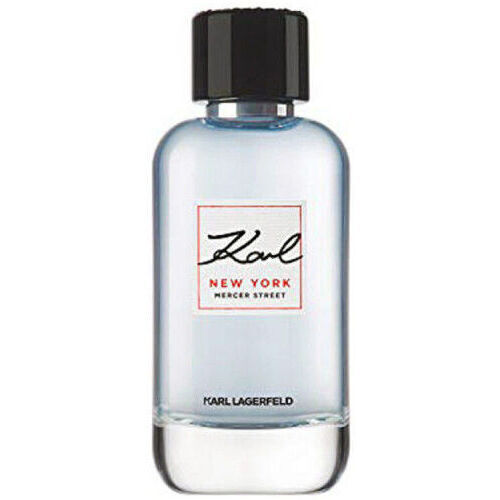 Beauté Parfums Karl Lagerfeld BRODERIE POPLIN DRESS  EDT (100 ml) (100 ml) Multicolore