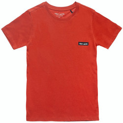 Vêtements Garçon T-shirts manches courtes Teddy Smith T-NARK MC JR - RED RUST - 12 ans Multicolore